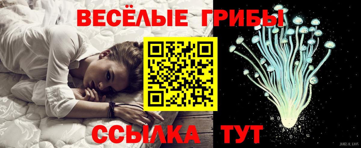 Псилоцибиновые грибы Magic Shrooms  Вход с VPN  Брянск 
